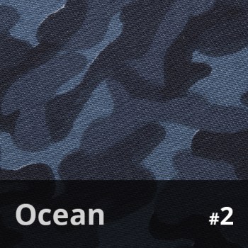 Ocean 2